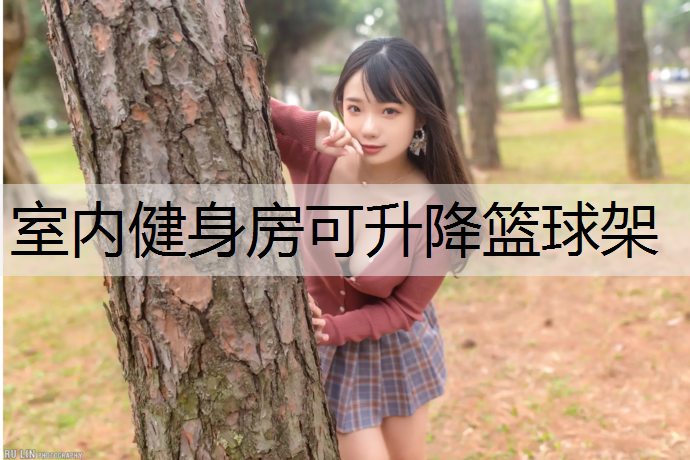室内健身房可升降篮球架
