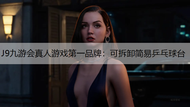 可拆卸简易乒乓球台