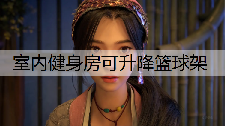 室内健身房可升降篮球架