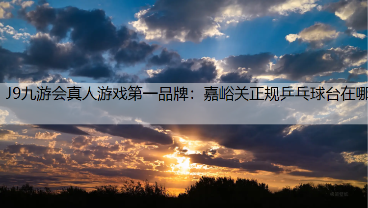 嘉峪关正规乒乓球台在哪
